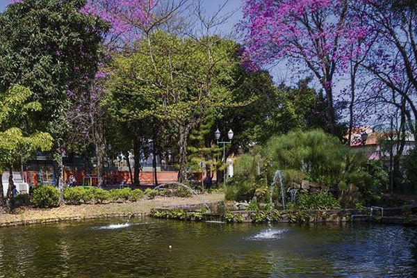 Parque Alonso Ferreira de Camargo – Jardim Público